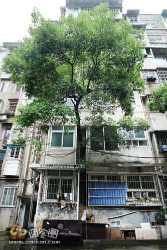 shujianqiang shujianqiang