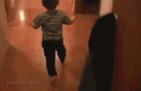 xialouti.gif