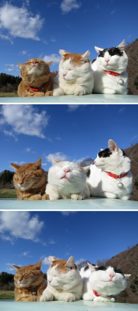 636e521cgw1e050mrvxsnj