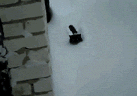 636e521cgw1e052pc7jg2g