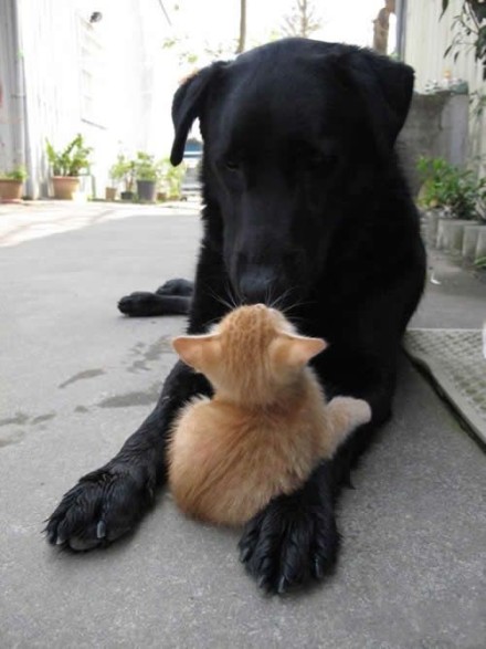 636e521cjw1e04lnk77i2j