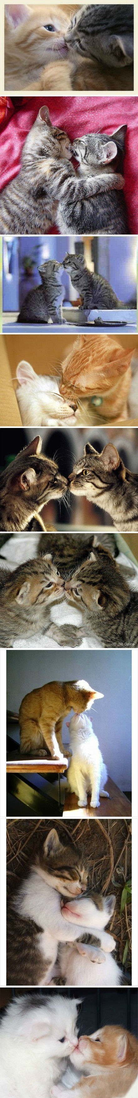 636e521cjw1e04ou2qqo5j