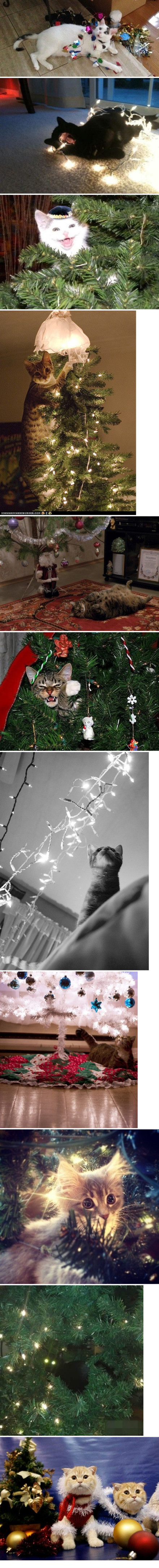 636e521cjw1e053yotahqj