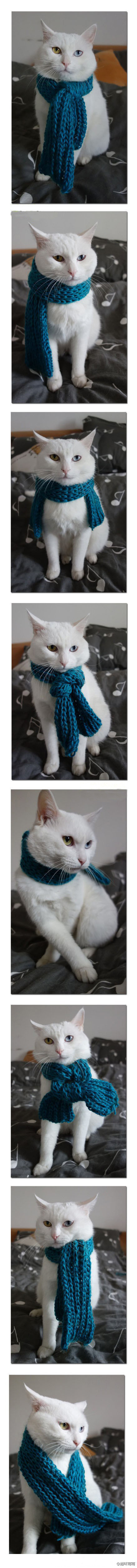 6d135abbjw1e04i5x8f53j