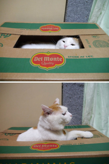 6e563e84jw1e04zz3uuj8j