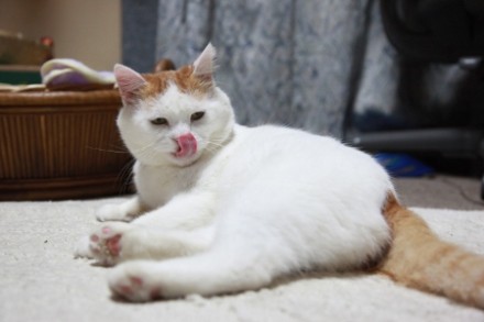 6e563e84jw1e0502e8thyj