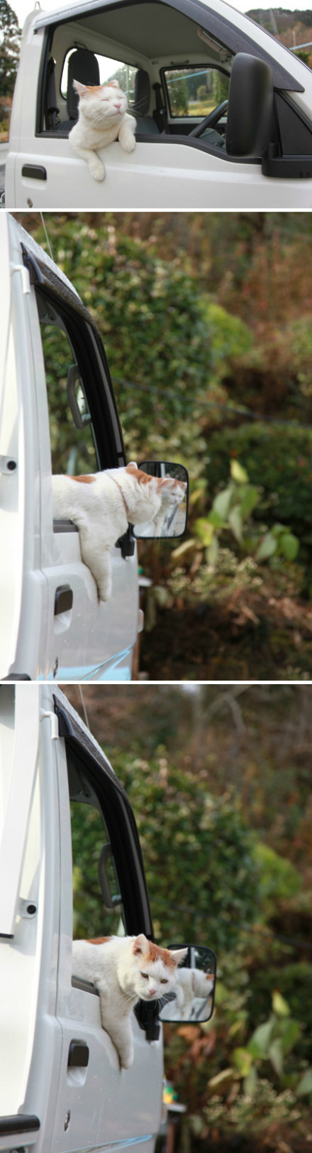 6e563e84jw1e0504bp617j