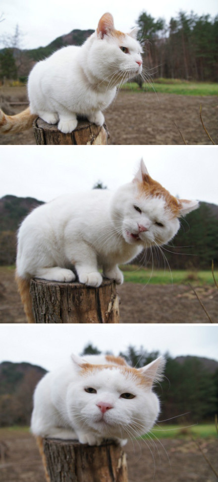 6e563e84jw1e0506aq6gqj