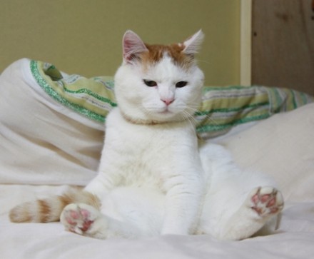 6e563e84jw1e0507d1ej5j