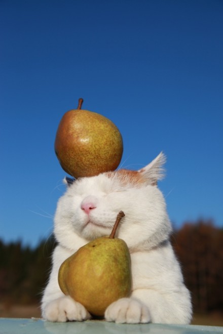 6e563e84jw1e0508qak5jj