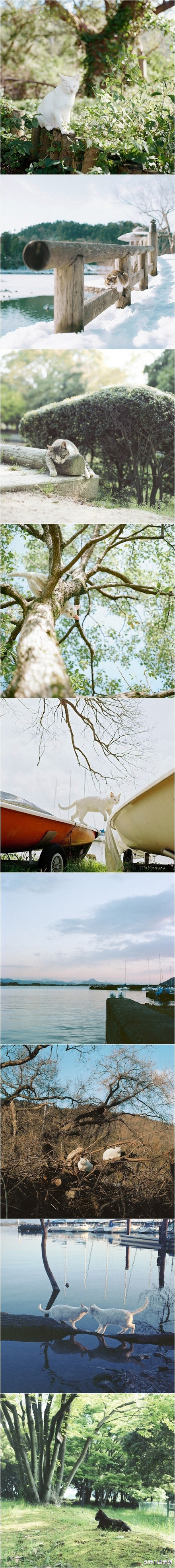 768565b9jw1e04x89w1bvj