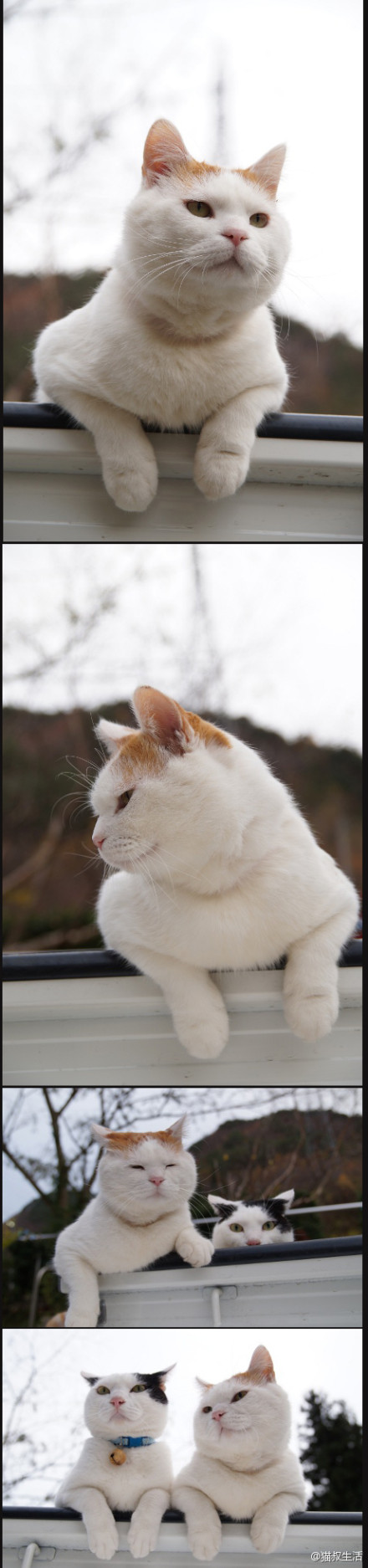 7fbbcf38jw1e052g28ne3j