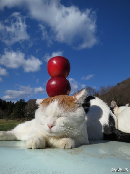 7fbbcf38jw1e05n8wri97j