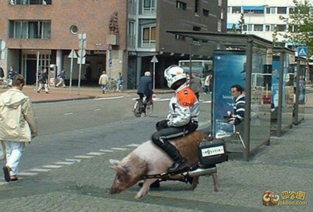 11605642_1200x1000_0