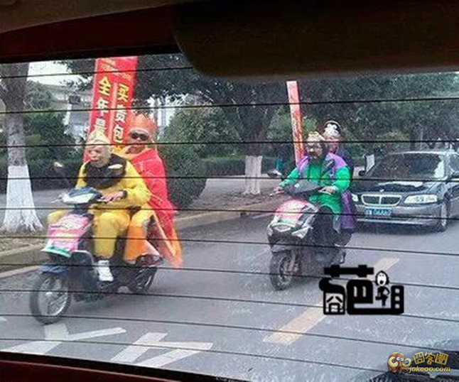 11605643_1200x1000_0