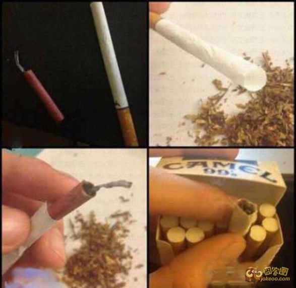 11605653_1200x1000_0