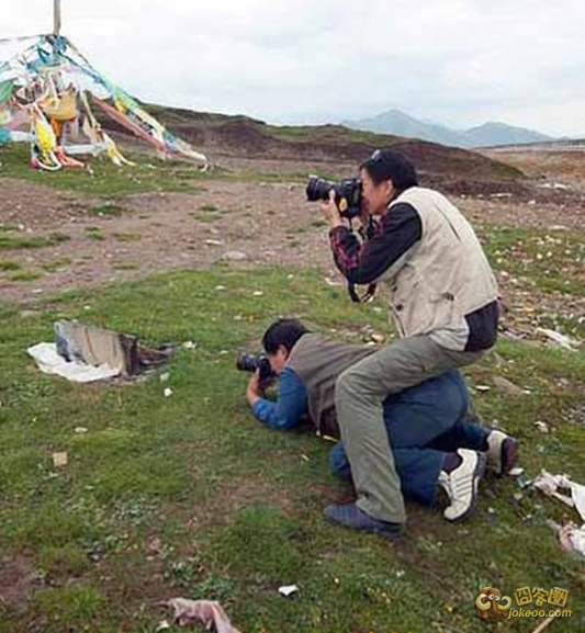 11605669_1200x1000_0