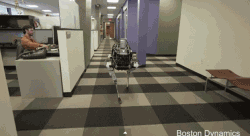 9d75fd0fgw1ep9xit7celg206y03s7kx