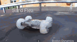 9d75fd0fgw1ep9xjc98a5g206y03shdt