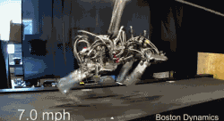 9d75fd0fgw1ep9xjhvttzg206y03sqow