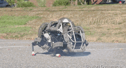 9d75fd0fgw1ep9xk50wstg206y03su0x