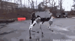 9d75fd0fgw1ep9xkc22ryg206y03s7wh