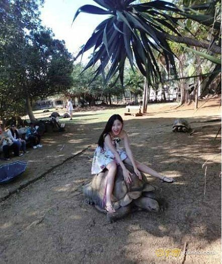 686e28e2jw1eqreunb6cyj20c90ejwgv