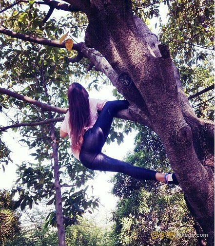 686e28e2jw1eqreusoomtj20c90e1n0r