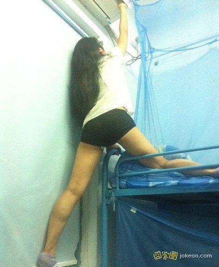 c0270339jw1eremp8d033j20c80ewt9r