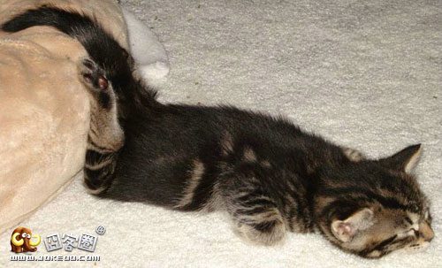 瑜伽式睡觉-囧客圈