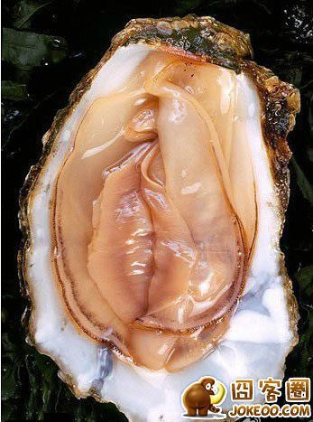 这些只是水产,请相信哥,哥是认真的...-囧客圈