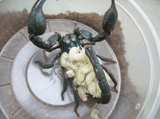 LiIwQU44NAeXVdRCIOvhujbjOAGIdfExMDKHWwHJr_AmAgAAmQEAAFBO