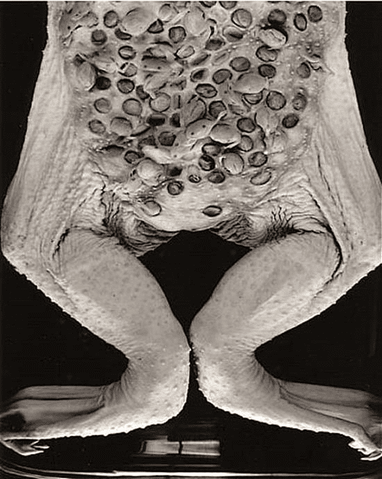 QtkkG-vnezOzXjEN31MGI8HFgyMvfaZEqgpWFZvRjo8mAgAAsQIAAFBO