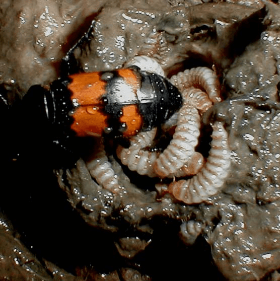 XPn4EsjjAmGZ3XKf_0VfWZmKFbTwtTYk74rHQwGwscQsAgAALgIAAFBO