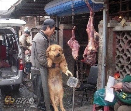 囧客圈预祝大家新年快乐!-囧客圈