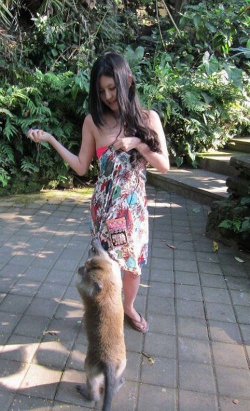 图片[1]-好色的猴子.太邪恶了.-囧客圈