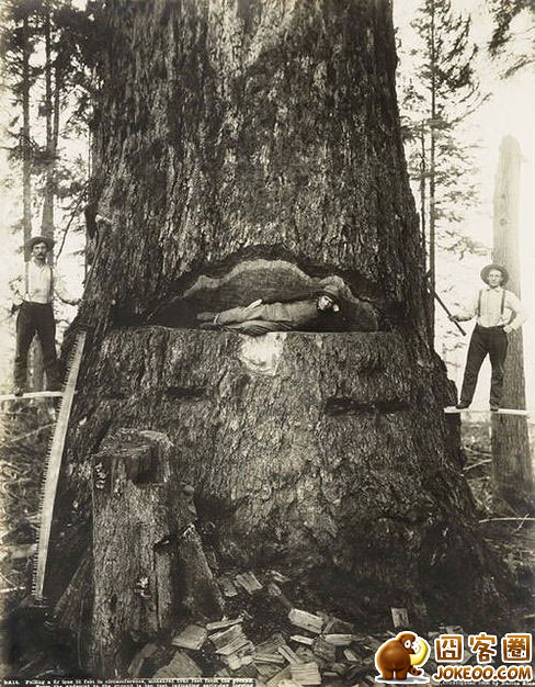 图片[2]-那些邪恶的老照片(一)-囧客圈