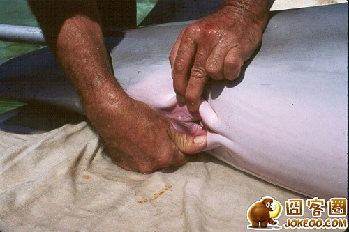 图片[2]-这些只是水产,请相信哥,哥是认真的…-囧客圈