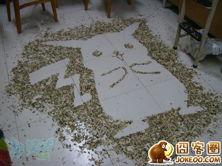 图片[1]-吃瓜子的艺术-囧客圈