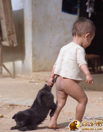 图片[1]-宠物与人-囧客圈