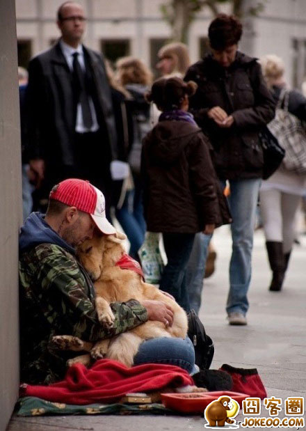 图片[2]-狗狗-囧客圈