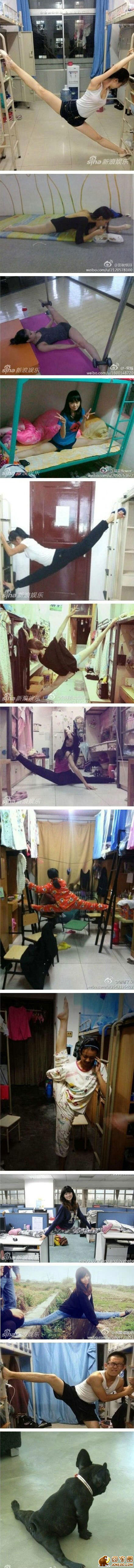 图片[1]-一字马美女大集合!各种奇怪生物乱入!-囧客圈