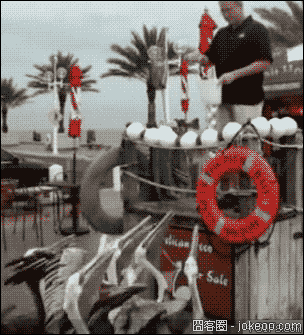 图片[1]-来得早不如来得巧-囧客圈