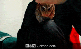 图片[4]-哥真是无语了,人不要脸天下无敌!-囧客圈