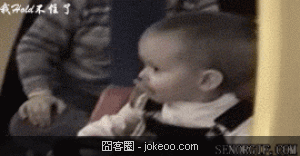 图片[3]-萌物集结号,老外很多人喜欢刺猬啊!-囧客圈