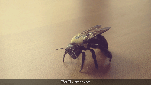 图片[3]-原来胖子可以用肚皮猥亵MM!-囧客圈