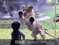 图片[4]-萌物集中营 2012-11-24-囧客圈