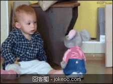 图片[5]-萌物集中营 2012-11-24-囧客圈