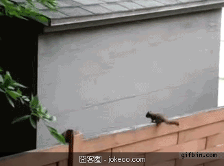 图片[2]-林子大了,什么囧都有 爆笑gif囧图-2012-11-25-囧客圈