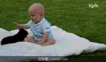 图片[1]-除了卖萌，乃们还能干啥-囧客圈